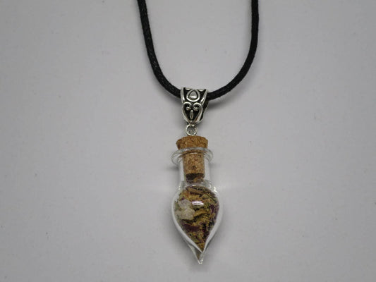 Success Talisman charm bottle necklace.